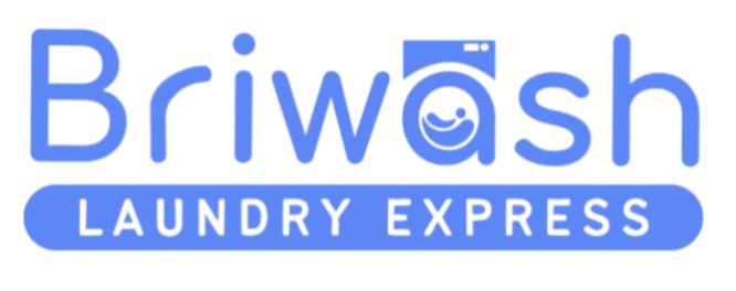 Logo Briwash